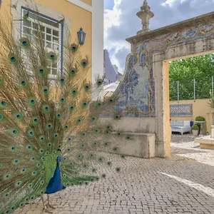 solar-do-castelo-lisbon.hotels-lisbon-portugal.com/